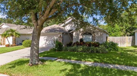 Photo of 7105 Bucks Ford Drive, Riverview, FL 33578 (MLS # TB8409319)
