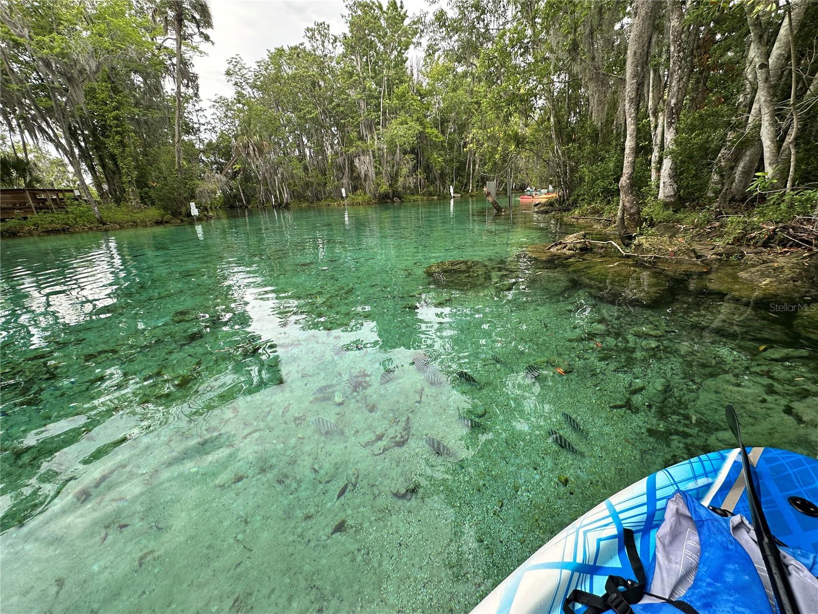 GLEN AIRE ESTATES - Residential