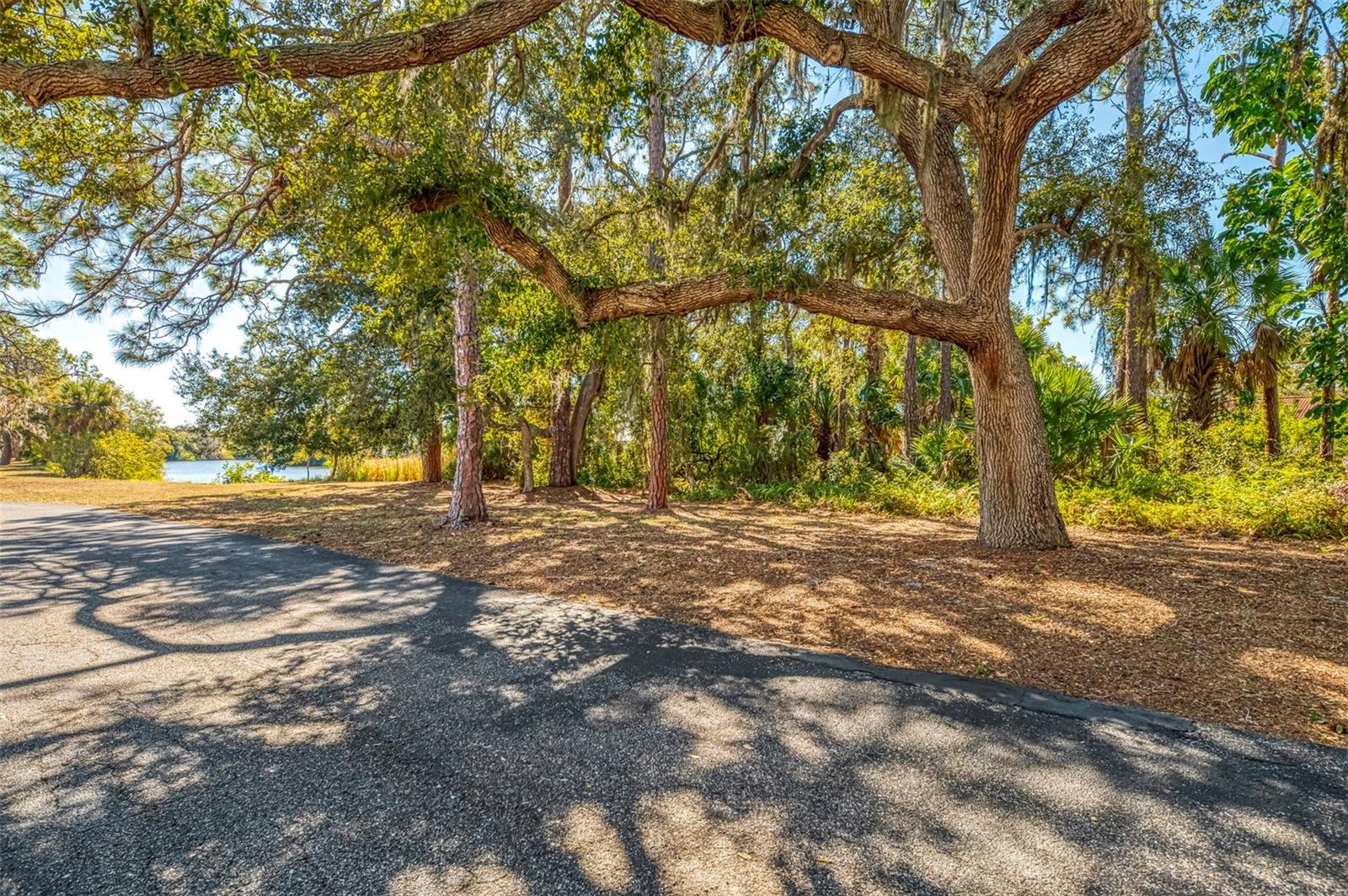 510 VILLA PARK DRIVE 510