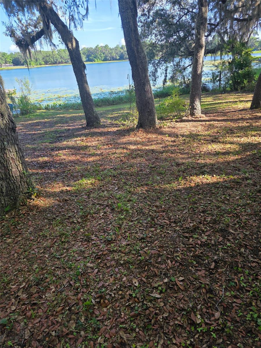 MILES KALE LAKE - Residential