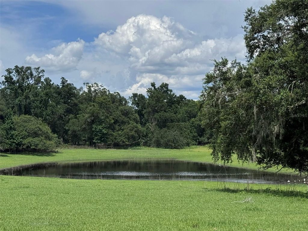 Photo of 20716 Ramer Road, Dade City, FL 33523 (MLS # TB8406885)