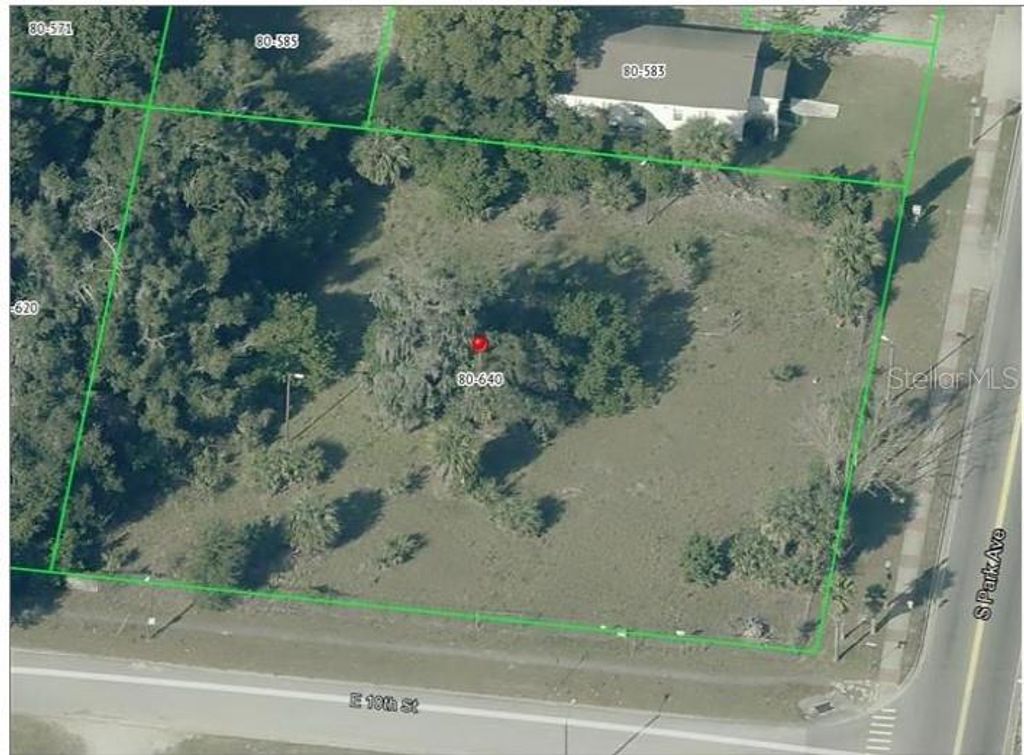 Photo of 950 S Park Avenue, Apopka, FL 32703 (MLS # O6389057)