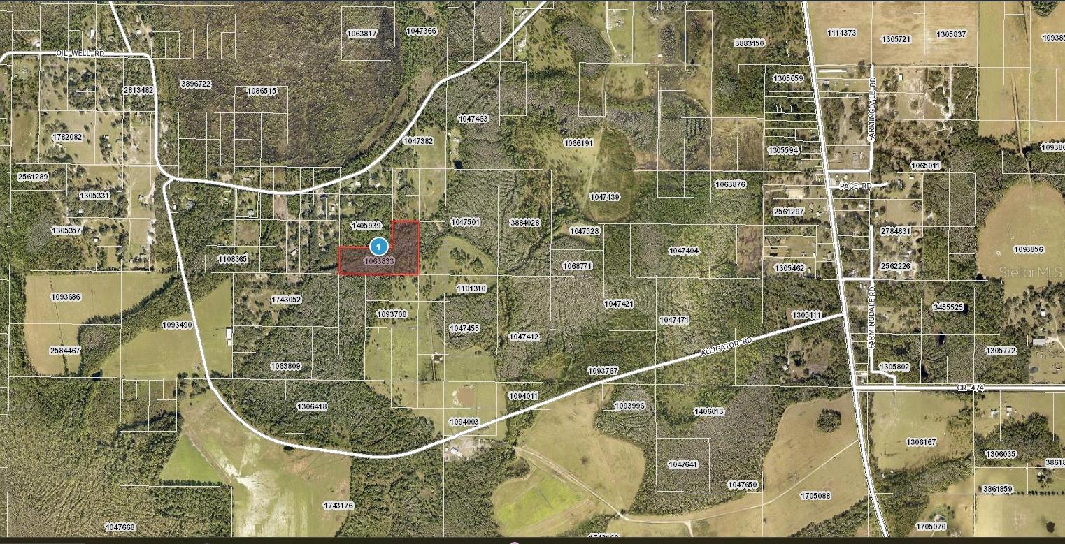 This exceptional 10-acre parcel in the heart of Clermont, FL (34714) offers outstanding development potential. Located near SR 33, it’s strategically positioned to benefit from the area's rapid growth. Nearby, the Panther Run Community is set to bring 3,000 luxury homes and 1 million square feet of commercial space. Additionally, the Olympus Master Development is transforming the local landscape with a 243-acre health and wellness-focused community, complete with sports facilities, resort-style amenities, and mixed-use spaces. The Lumberyard District is undergoing a $45.7 million revitalization, bringing new parks, trails, and infrastructure improvements to downtown Clermont. Furthermore, the expansion of Wellness Way Road, which will improve access from US 27 to the Orange County line, is set to boost connectivity. These developments, along with the property's prime location, make this 10-acre lot an excellent investment.