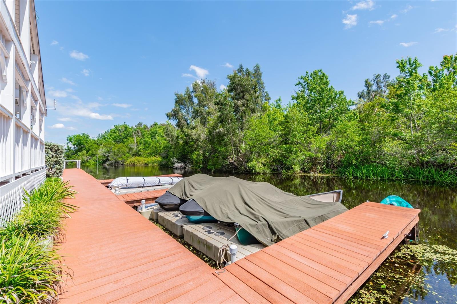 DOLLY BAY A VILLAGE ON LAKE TARPON - Residential