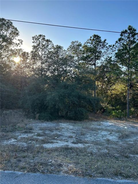 SW SOUTH WIND COURT DUNNELLON FL 34431
