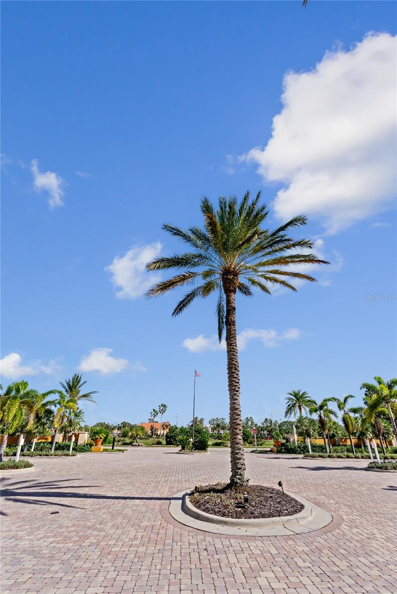 SERENATA SARASOTA - Residential