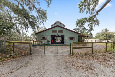 Tiny photo for 15000 W Hwy 318, Williston, FL 32696 (MLS # OM716965)