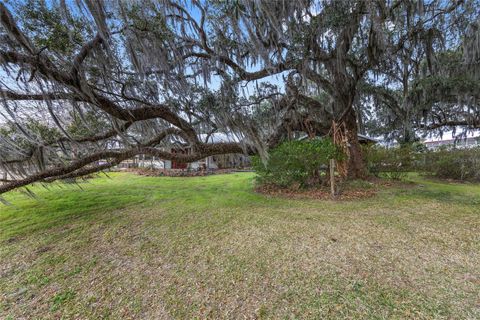 Tiny photo for 15000 W Hwy 318, Williston, FL 32696 (MLS # OM716965)