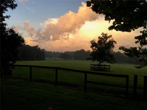 Tiny photo for 15000 W Hwy 318, Williston, FL 32696 (MLS # OM716965)