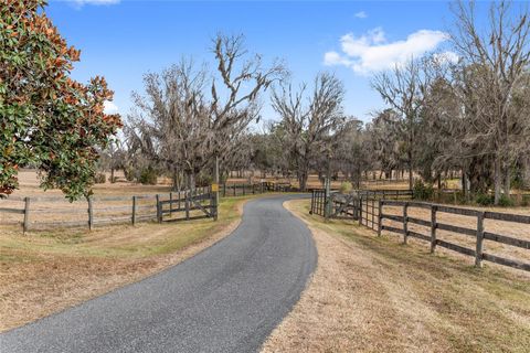 Tiny photo for 15000 W Hwy 318, Williston, FL 32696 (MLS # OM716965)