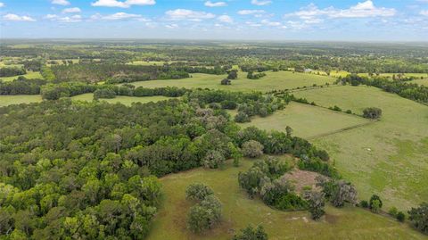 Tiny photo for 15000 W Hwy 318, Williston, FL 32696 (MLS # OM716965)