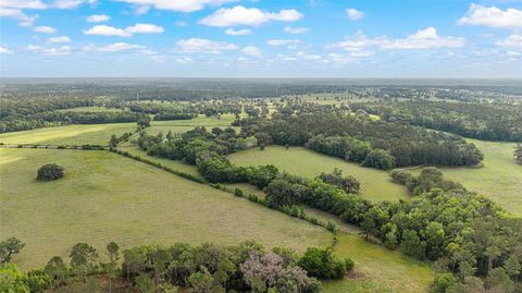 Tiny photo for 15000 W Hwy 318, Williston, FL 32696 (MLS # OM716965)
