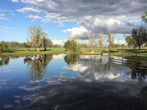 Tiny photo for 15000 W Hwy 318, Williston, FL 32696 (MLS # OM716965)