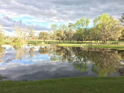 Tiny photo for 15000 W Hwy 318, Williston, FL 32696 (MLS # OM716965)