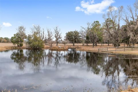 Tiny photo for 15000 W Hwy 318, Williston, FL 32696 (MLS # OM716965)