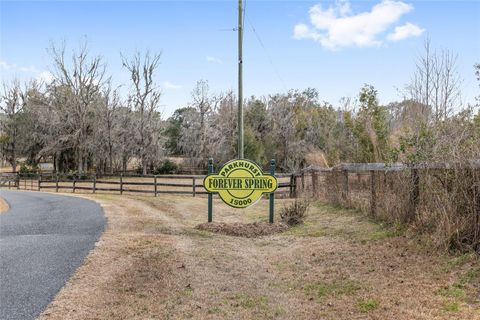 Tiny photo for 15000 W Hwy 318, Williston, FL 32696 (MLS # OM716965)