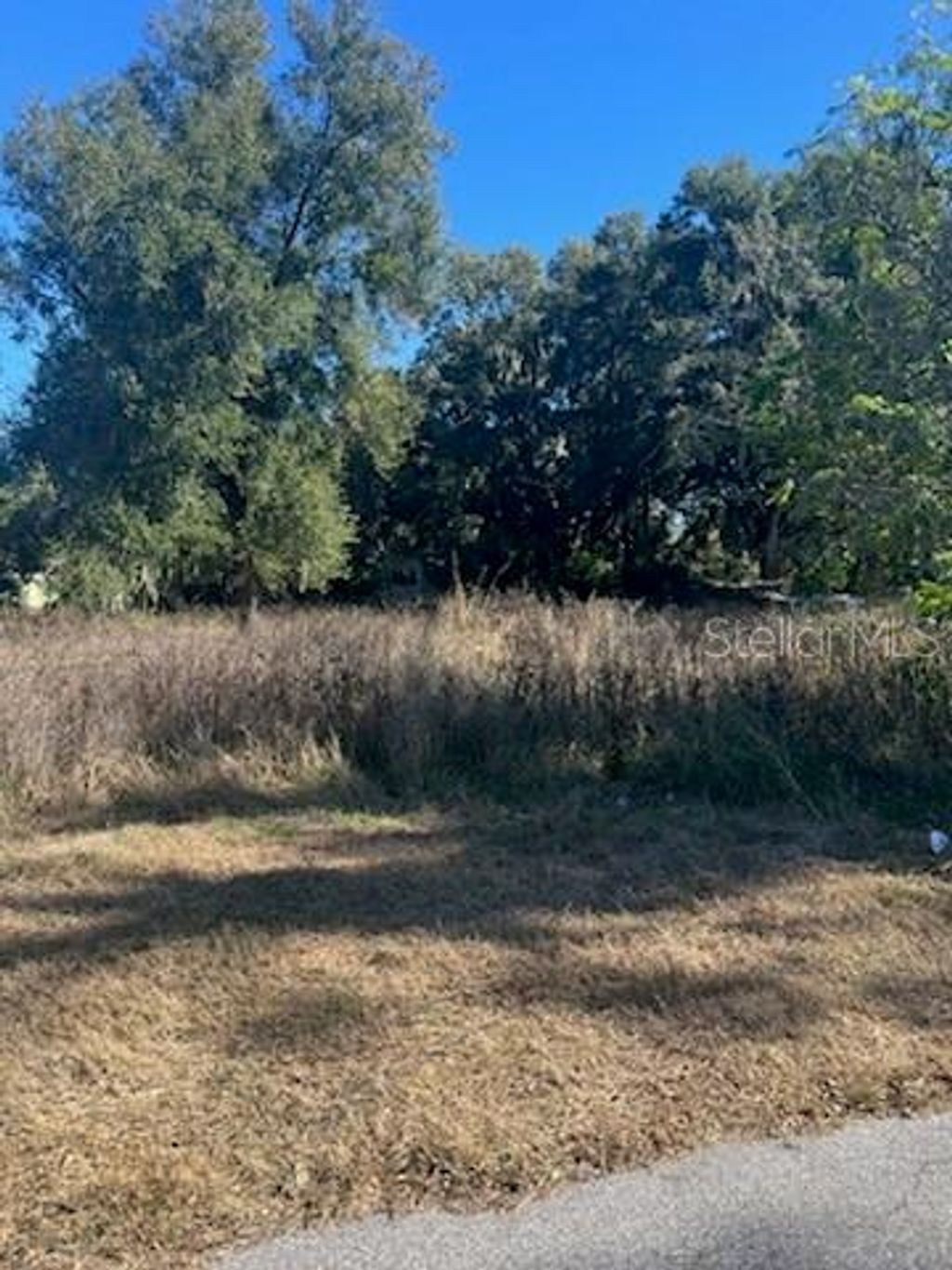 Photo of 5454 Noble Road, Lakeland, FL 33811 (MLS # L4958712)