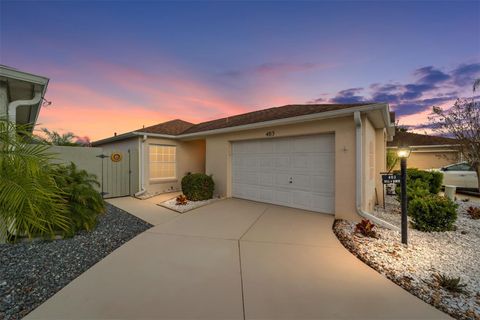 403 DUARTE LANE THE VILLAGES FL 32159