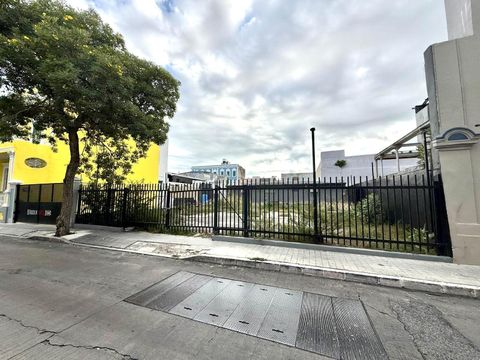 9 CALLE LEON PONCE  00730