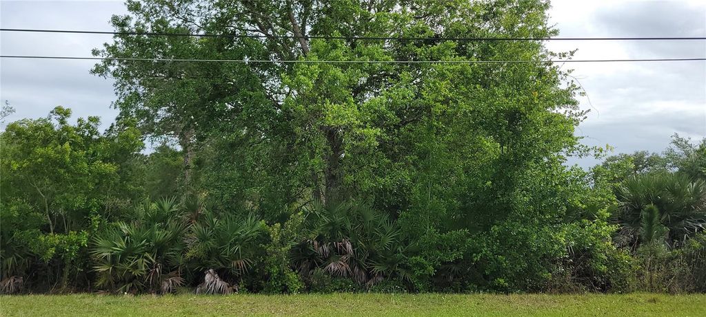 Photo of Ralston Street, Orlando, FL 32833 (MLS # OM723494)