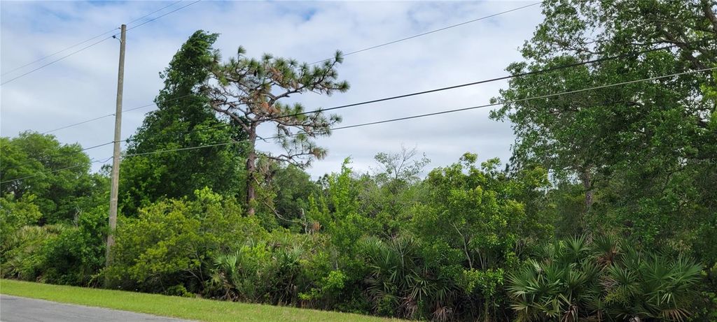 Photo of Ralston Street, Orlando, FL 32833 (MLS # OM723494)