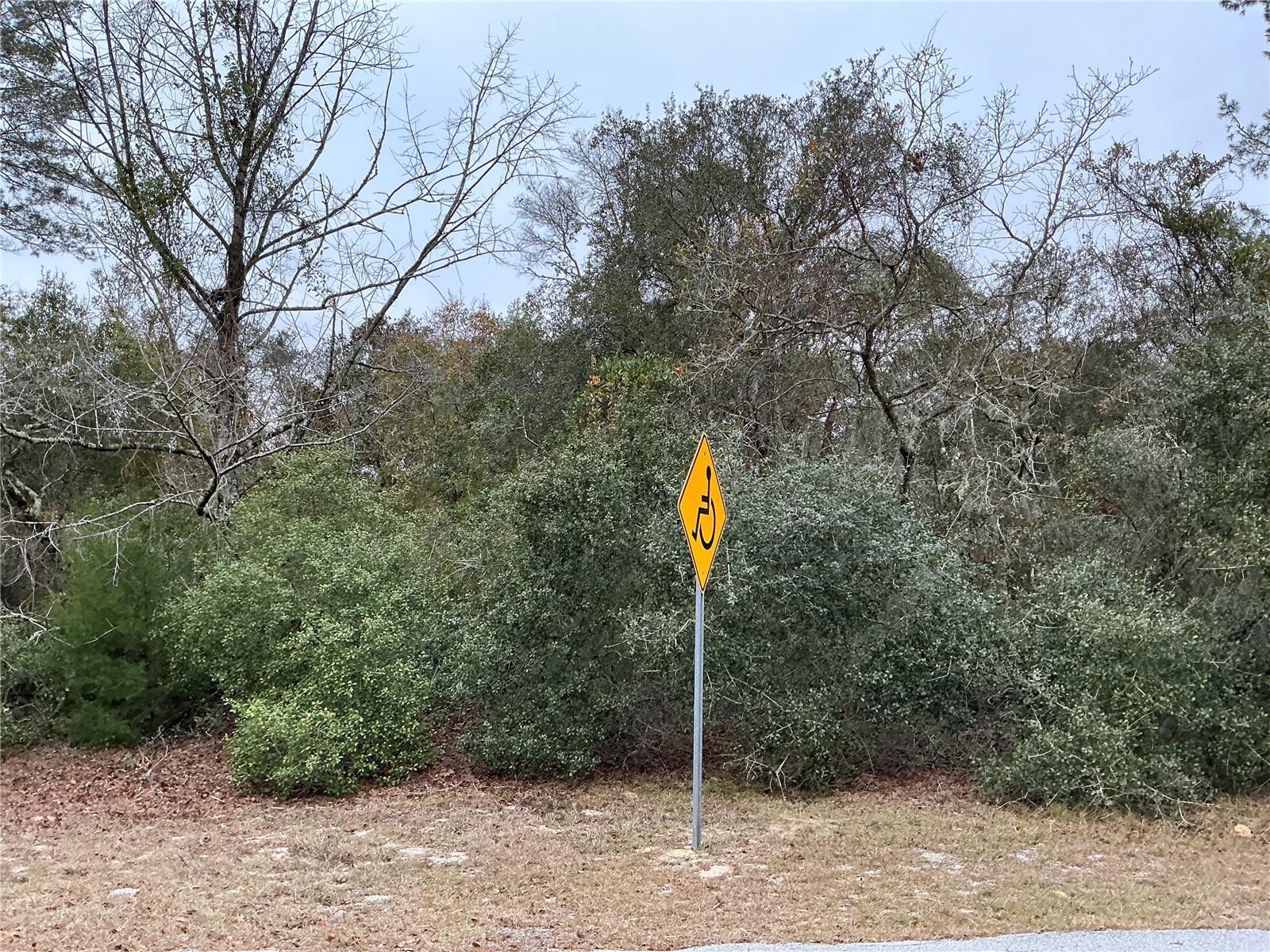 Situated in the heart of Marion Oaks, this residential lot measures 84 by 125 feet, located outside the flood zone, with no wetlands or endangered species, and water available 170ft extension, with Underground power. Marion Oaks is located south of downtown Ocala and next to I-75 for easy access to the Orlando suburbs. Marion Oaks has plenty to do for nature lovers including natural springs, state forests, mudding, and biking trails. Marion Oaks is exploding with development due to low housing prices and cheap land. Walmart and shops are just 10 minutes away. Silver Springs Shores, one of the largest artesian spring formations in the world, is just 20 minutes away. Just 20 minutes to downtown Ocala, and 1 hour to downtown Orlando.