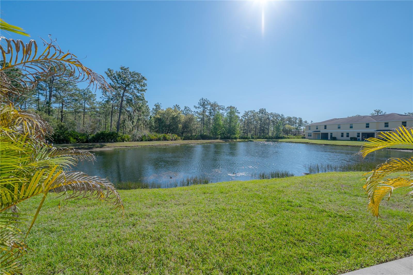 HAMMOCKS - Residential Lease