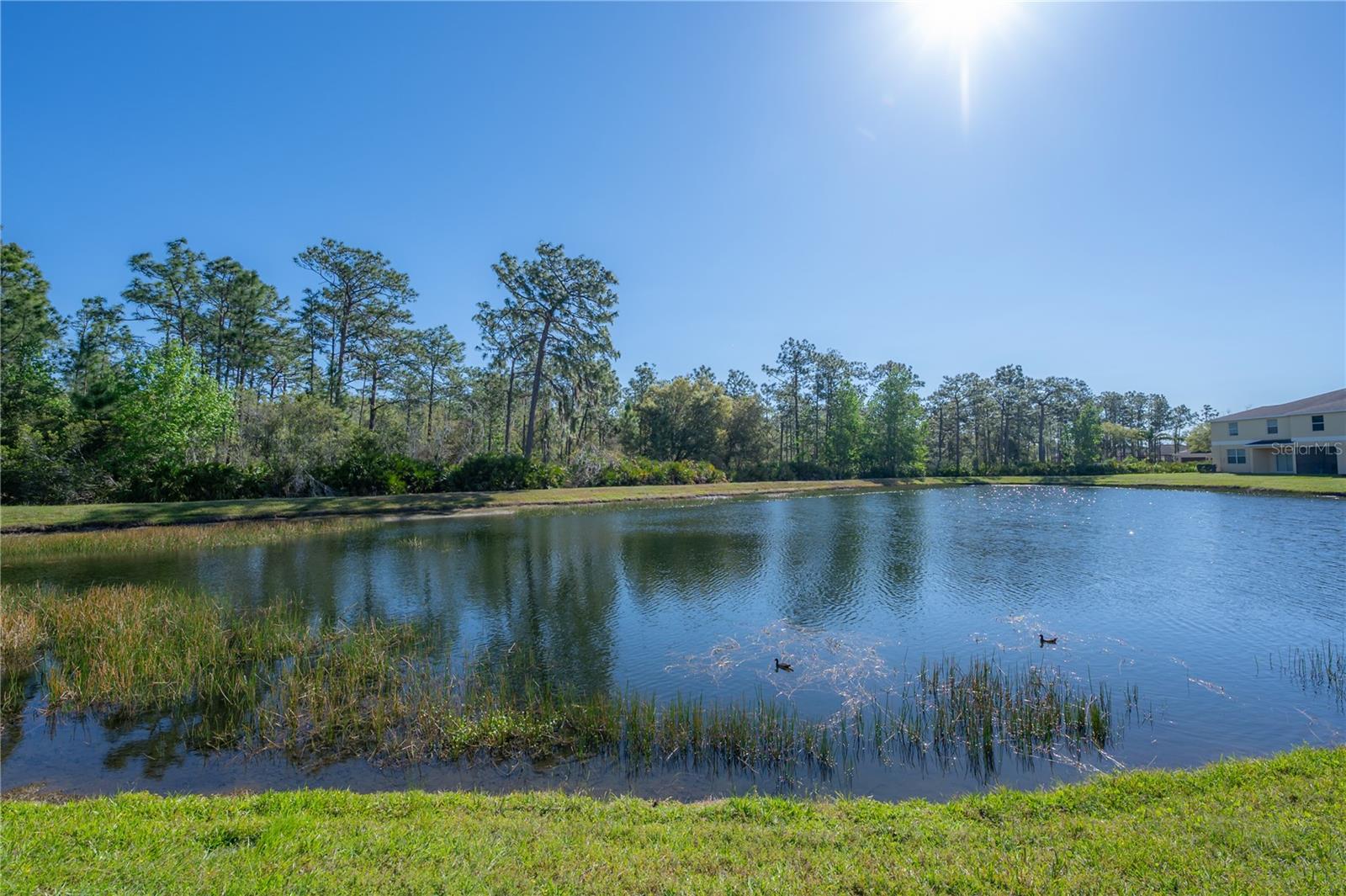 HAMMOCKS - Residential Lease