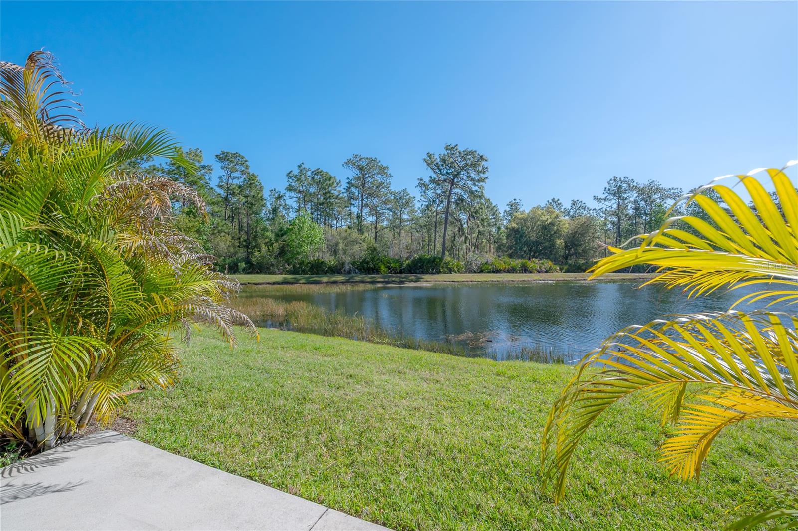 HAMMOCKS - Residential Lease