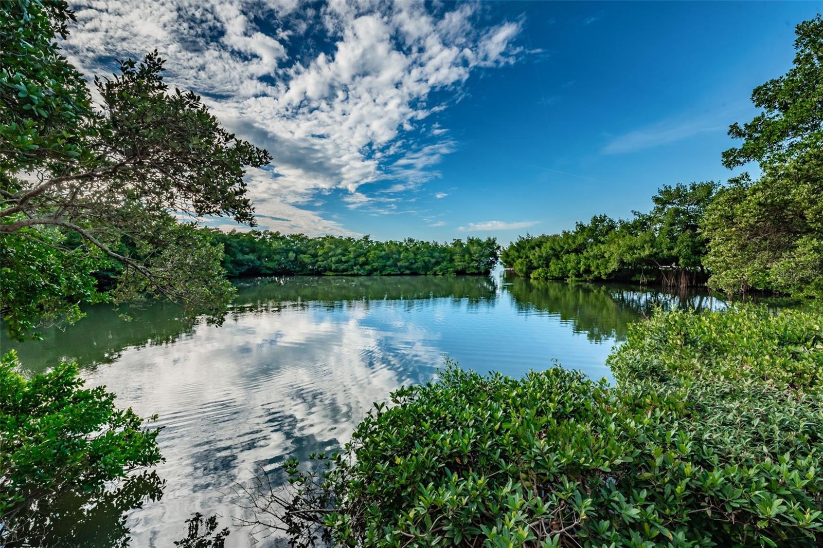 CHATEAU TOWER CONDO - Residential