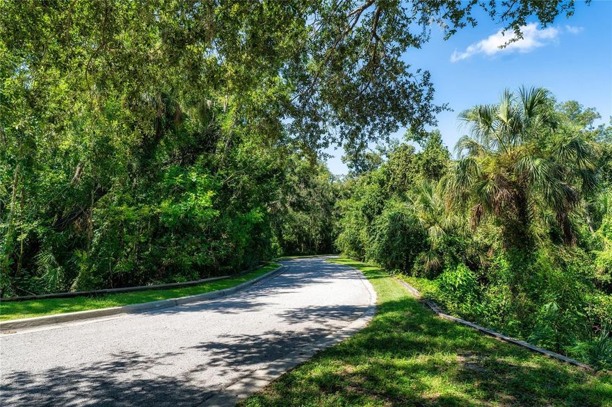 Seller Financing is available. Only 20 minutes from the city, you’ll find yourself tucked inside The Alafia Preserve, a stunning gated community with only 25 exclusive lots spread across 23 acres along the Alafia River. This rare piece of land could be the site of your dream home and if you need more space, the lot right next door (4710) is also available! Life in The Alafia Preserve means enjoying the peace and quiet of nature spring-fed ponds, birdsong in the mornings, and creeks that flow though the community. Every detail has been thoughtfully designed, from the gated entry to underground utilities (including water, sewer, gas, electric) The best part? You get the privacy and serenity of The Alafia Preserve, but you’re still only 20 minutes from downtown and just minutes to grocery stores, shops, and everything you need. This is a wonderful opportunity to own a great-sized lot in one of the area’s most beautiful, private, and peaceful communities.