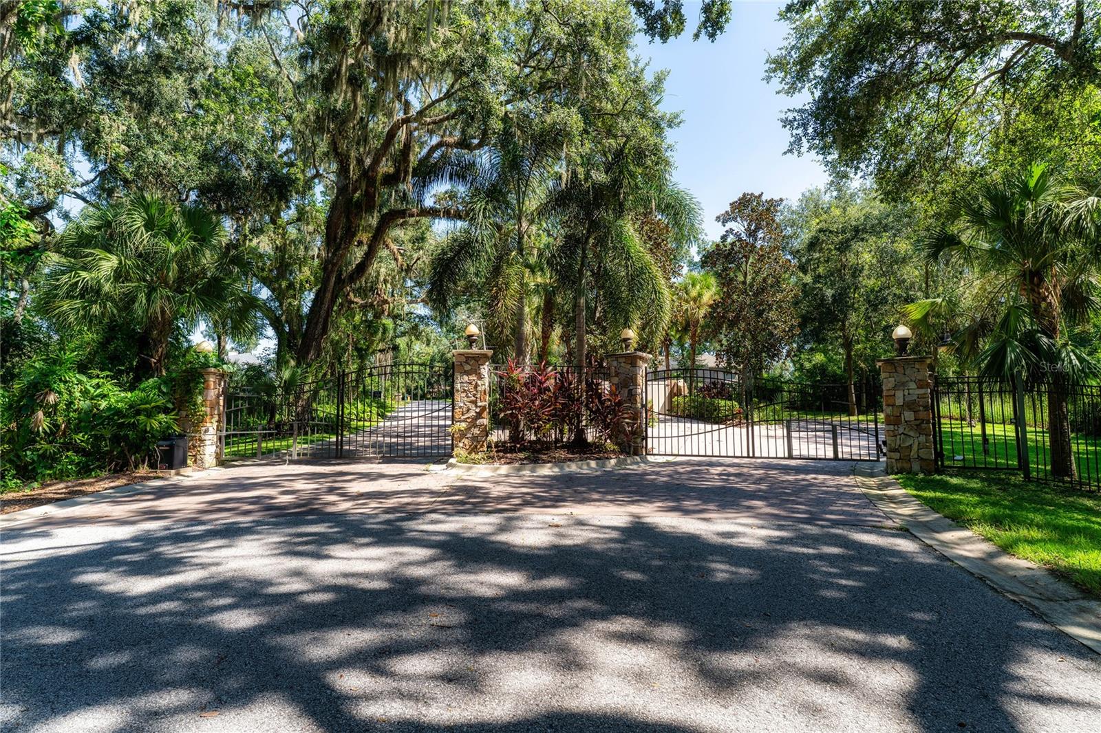 ALAFIA PRESERVE - Land