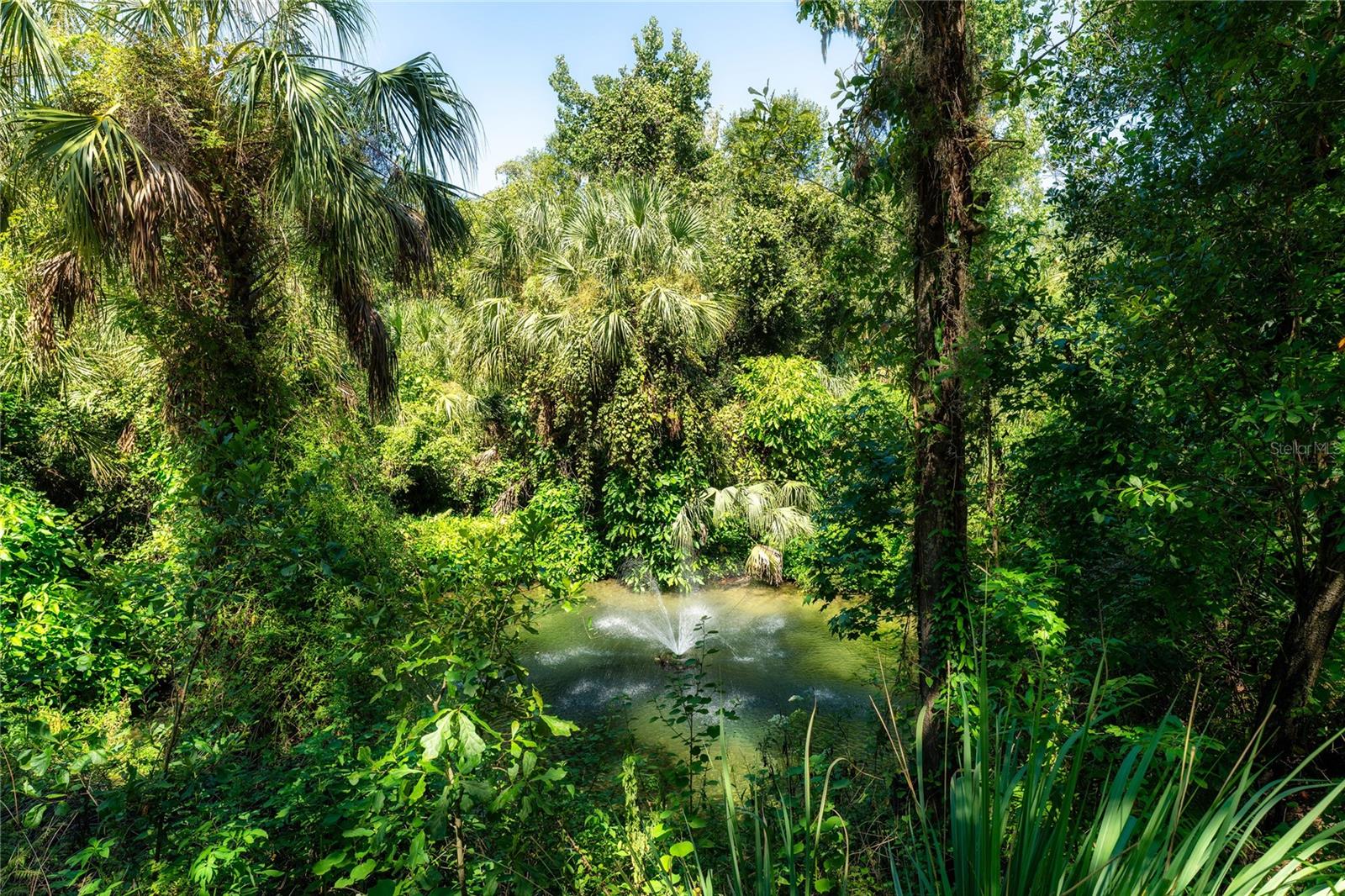 ALAFIA PRESERVE - Land