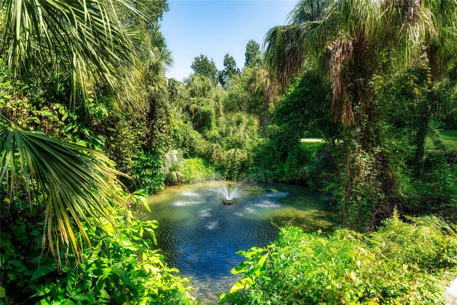 ALAFIA PRESERVE - Land