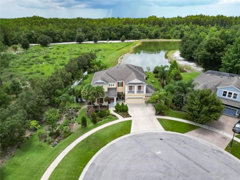 A home in LAND O LAKES