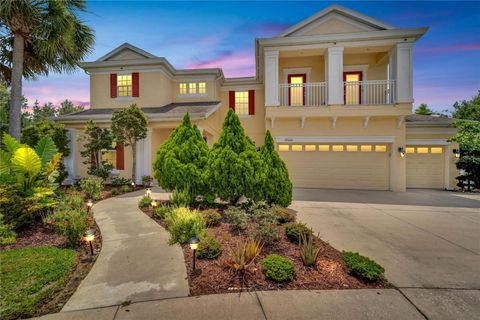 A home in LAND O LAKES