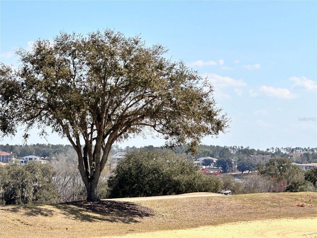 Photo of 16822 Artimino Loop, Bella Collina, FL 34756 (MLS # G5108014)