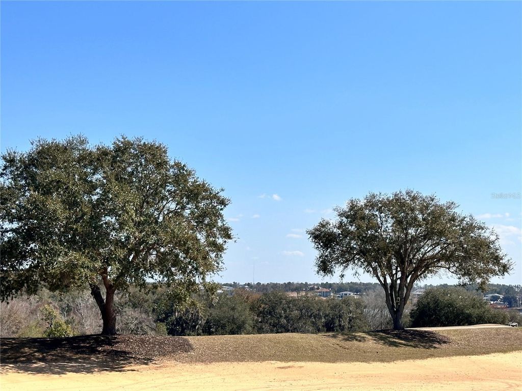 Photo of 16822 Artimino Loop, Bella Collina, FL 34756 (MLS # G5108014)