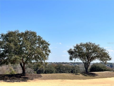 16822 ARTIMINO LOOP BELLA COLLINA FL 34756