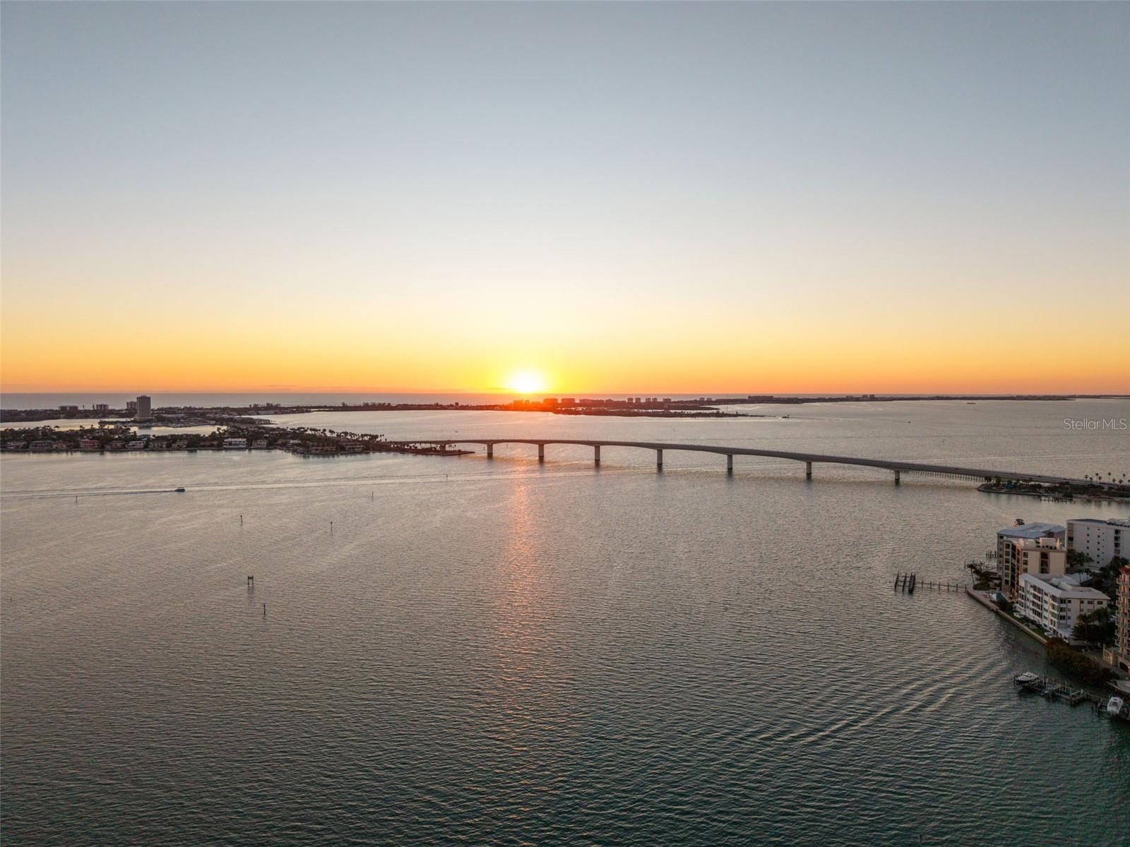 7 ONE ONE PALM - Residential