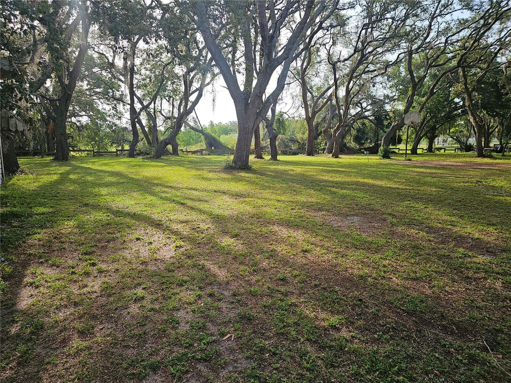 Photo of 10909 Marjory Avenue, Tampa, FL 33612 (MLS # TB8402922)