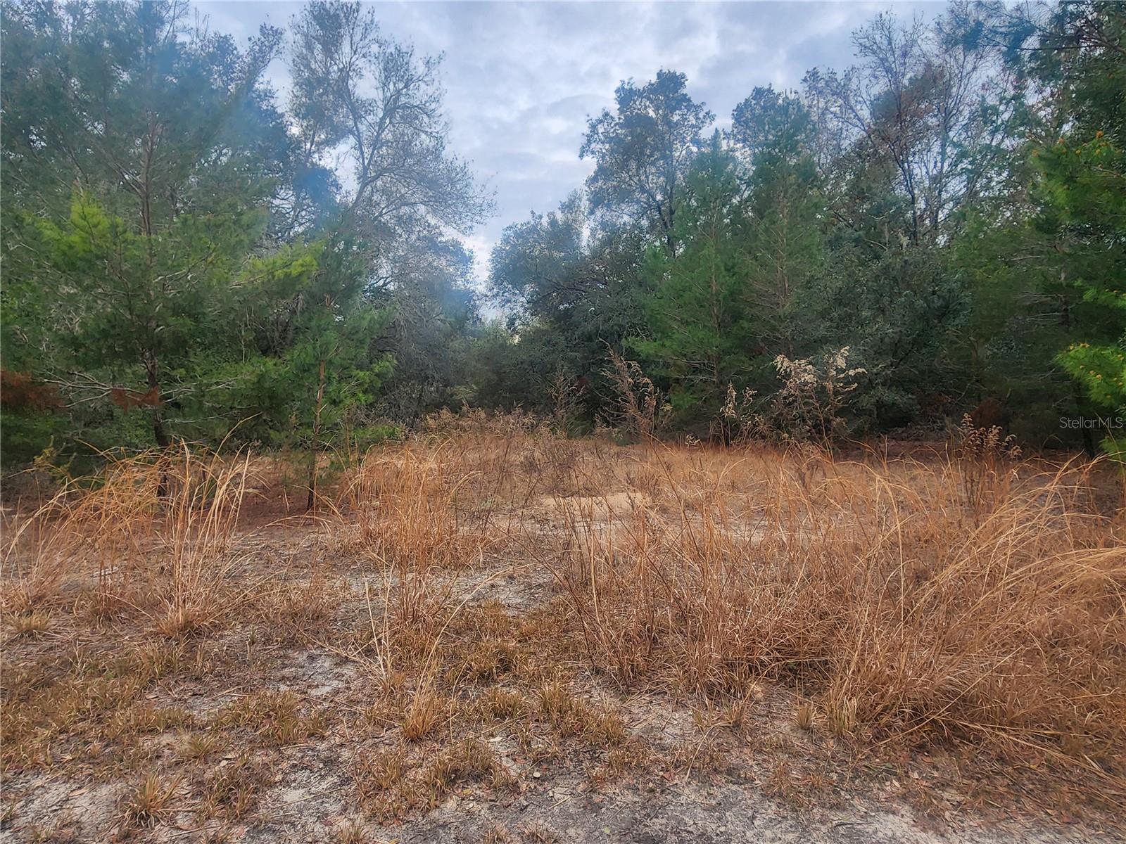 INVERNESS ACRES UNIT 02 AKA INVERNESS VILLAGE - Land