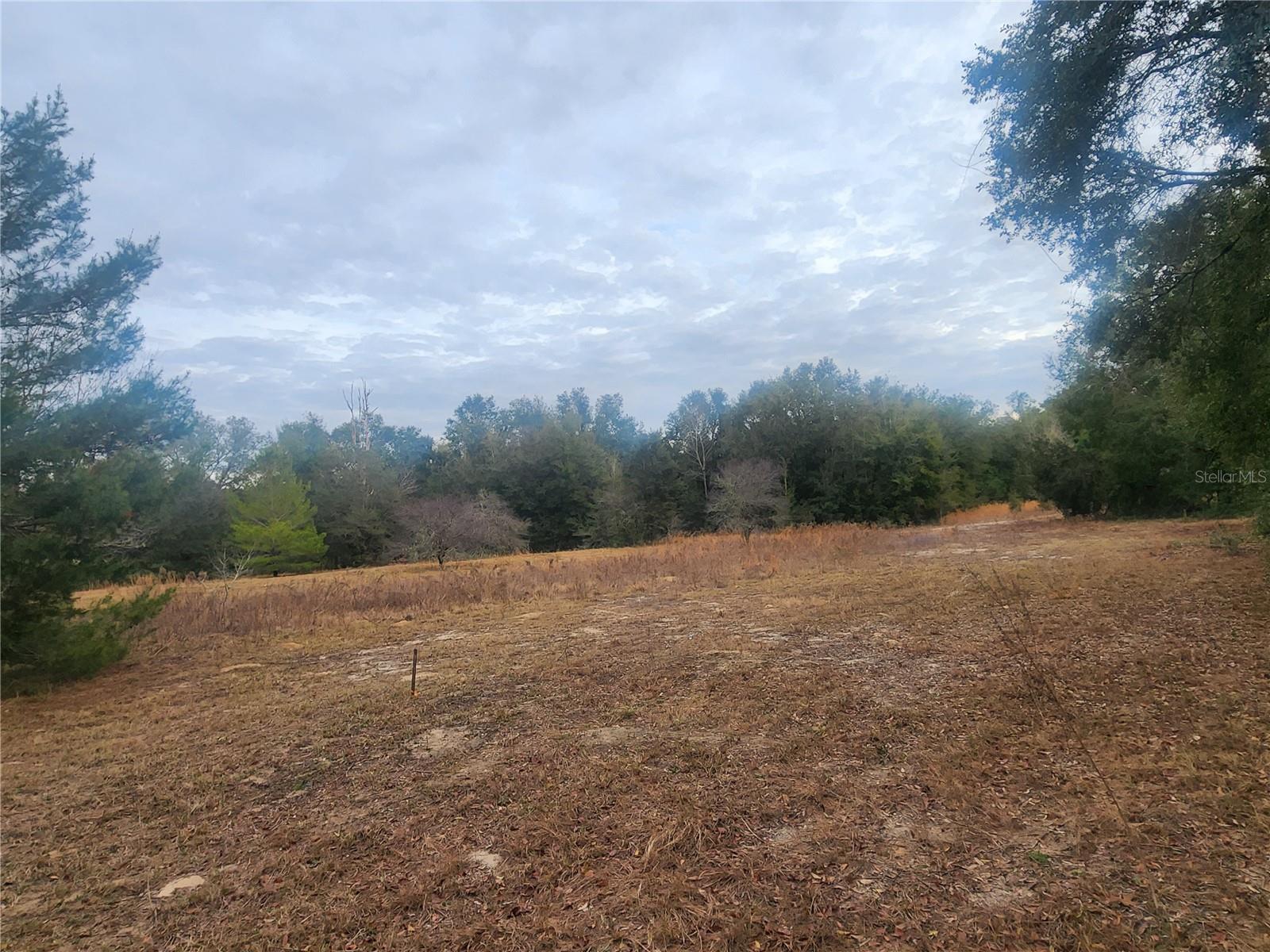 INVERNESS ACRES UNIT 02 AKA INVERNESS VILLAGE - Land