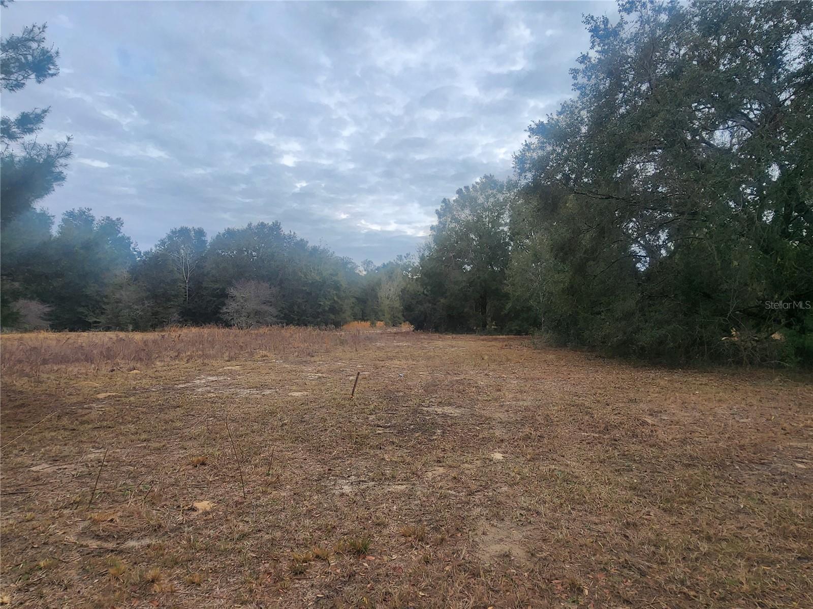 INVERNESS ACRES UNIT 02 AKA INVERNESS VILLAGE - Land