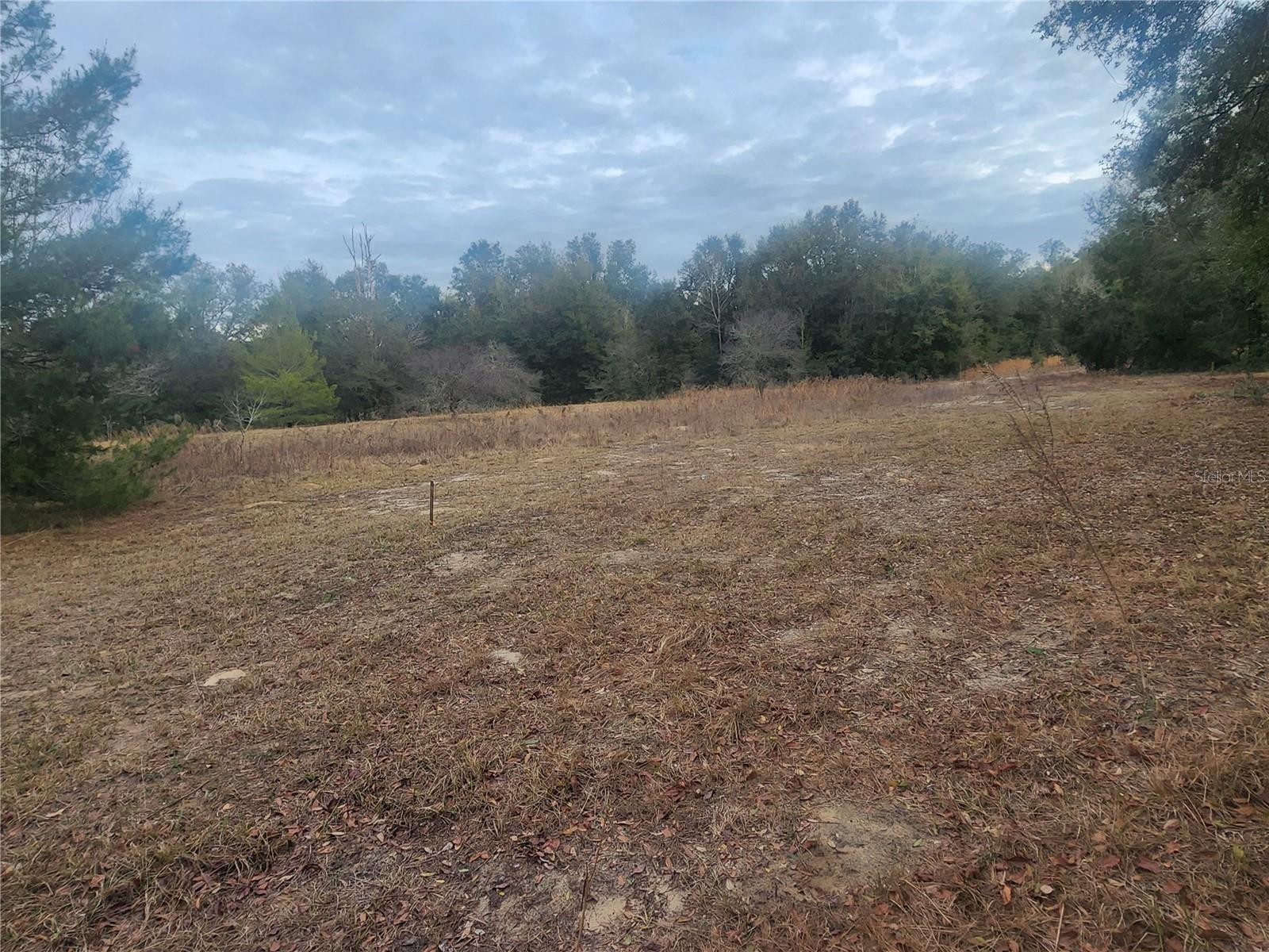 NICE BUILDING LOT WHERE NEW HOMES ARE BEING BUILT. COMPLETELY CLEAN LAND READY TO BUILD THE HOUSE OF YOUR DREAMS. IN EXCELLENT LOCATION NEARBY SHOPPING, DINING, RECREATION, HOSPITAL. INVERNESS SITS ON THE TSALA APOPKA CHAIN ??OF LAKES. HISTORIC DOWNTOWN HAS MANY SHOPS AND RESTAURANTS. EASY DRIVE TO CRYSTAL RIVER AND THE GULF. HIGH AND DRY LAND WITHOUT HOA. THE SELLER IS SELLING 2 MORE LOTS THAT ARE NEXT DOOR. TINY HOUSES ARE ALLOWED. SURVEY AVAILABLE
