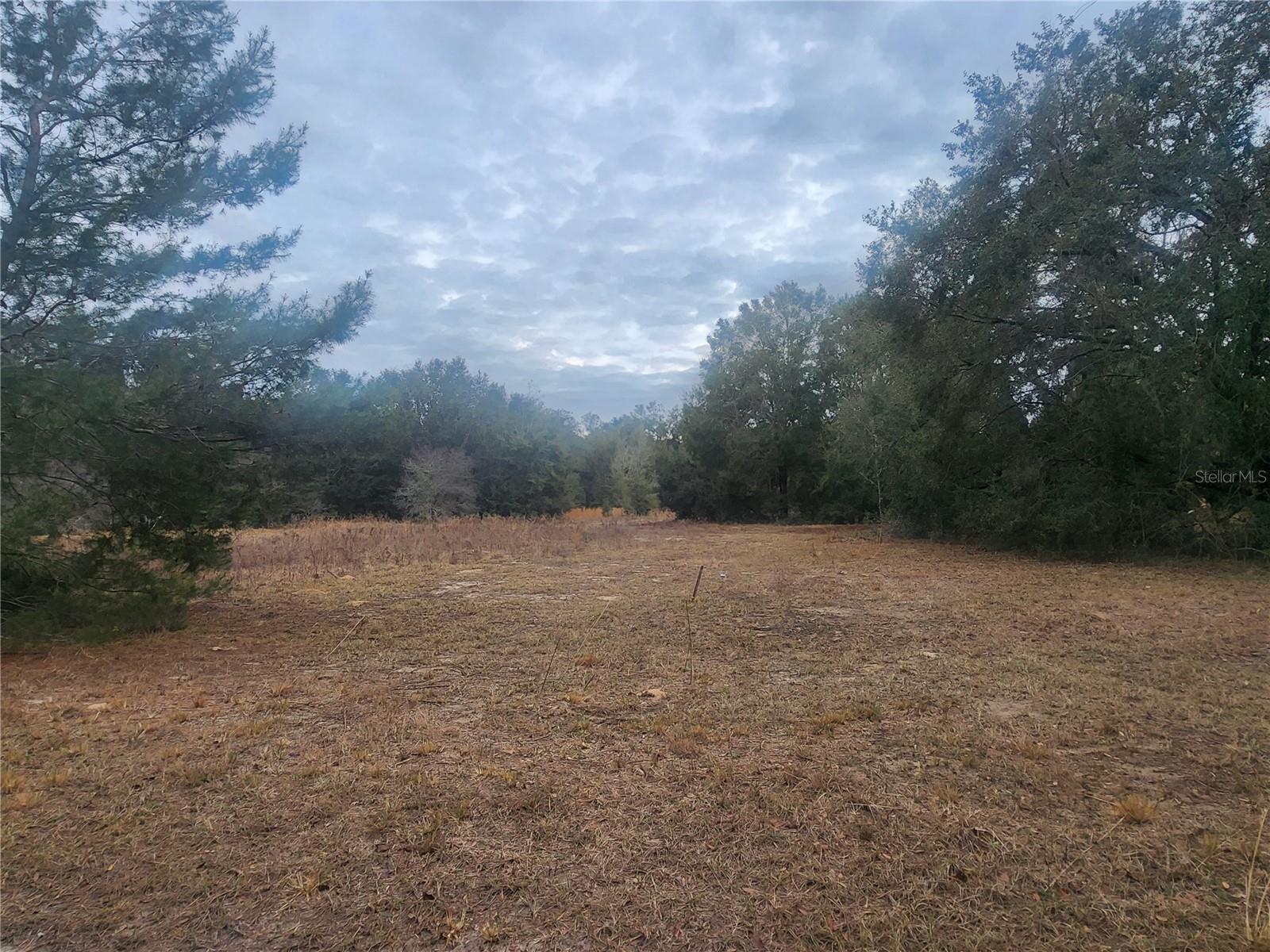 INVERNESS ACRES UNIT 02 AKA INVERNESS VILLAGE - Land