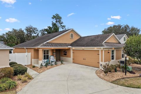 3930 E TORCH LAKE DRIVE THE VILLAGES FL 32163