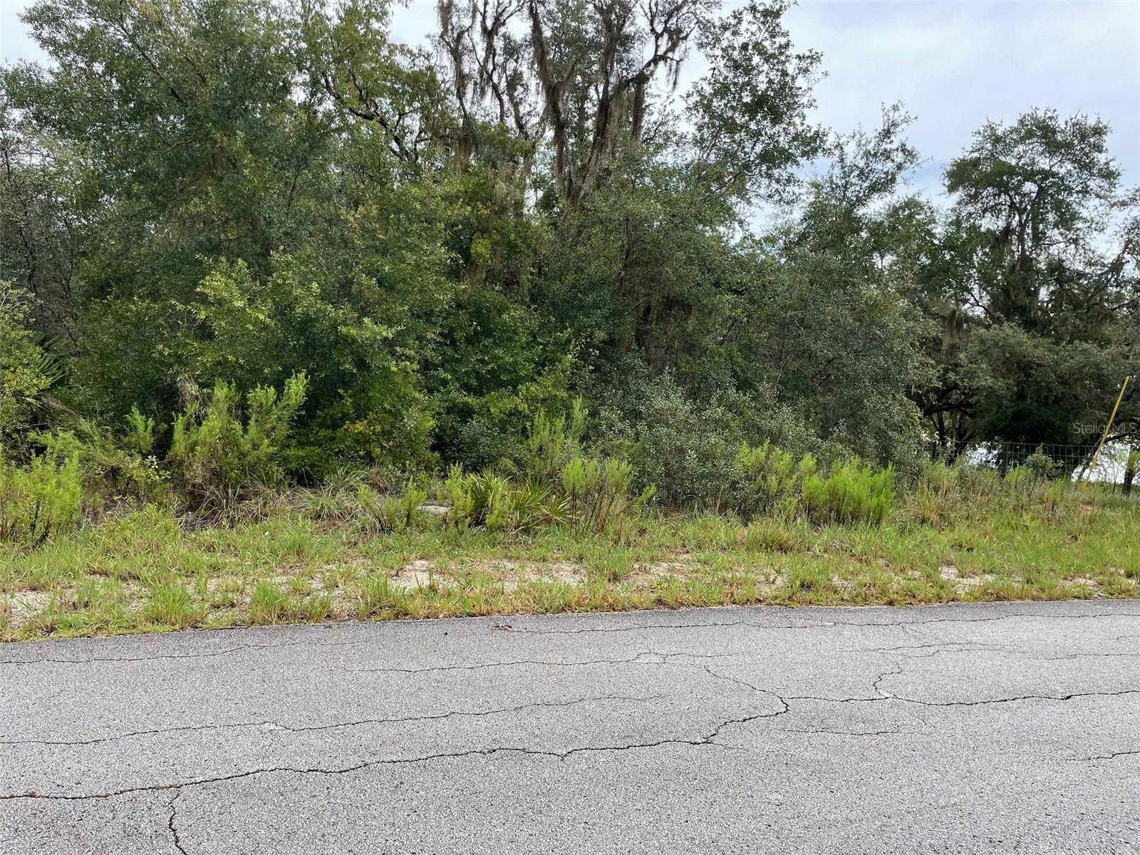 AWESOME LAKE FRONT PROPERTY ON 0.63 ACRES LOCATED IN RAINBOW LAKES ESTATES WITH NO HOA OR TIME LIMIT TO BUILD (No Mobile Homes). PEACEFUL AND SERENE THIS HOMESITE IS NICELY TREED AND WOODED. WHAT A GREAT LOCATION TO BUILD YOUR DREAM HOME, VACATION HOME OR AIRBNB ON THE LAKE. IF YOU WISH, BUILD YOUR OWN PRIVATE DOCK OR BOAT RAMP. THIS UNIQUE LOT GIVES YOU ACCESS TO 2 LAKES AS IT IS SITUATED BETWEEN BONABLE LAKE AND TIGER LAKE GIVING YOU THE CHOICE OF EITHER LAKE FOR BOATING, FISHING OR KAYAKING RIGHT AT YOUR DOORSTEP! JUST IMAGINE ENJOYING THE BEAUTIFUL VIEW AND RELAXING LAKE-FRONT TAKING IN ALL THAT NATURE HAS TO OFFER AND OUR GREAT FLORIDA WEATHER. RAINBOW LAKES ESTATES OFFERS MANY FEATURES INCLUDING 2 PLAYGROUNDS AND PARK, EXERCISE ROOM, COMMUNITY CENTER, BASEBALL FIELD AND TENNIS AND BASKETBALL COURT. CONVENIENT TO DOWNTOWN DUNNELLON, GREAT FOR QUAINT ANTIQUE SHOPS, RESTAURANTS AND SHOPPING, OCALA, GAINESVILLE, CRYSTAL RIVER, WORLD EQUESTRIAN CENTER FOR WORLD CLASS EQUESTRIAN SPORT AND THE BEAUTIFUL CRYSTAL-CLEAR WATERS OF RAINBOW SPRINGS STATE PARK WHERE YOU CAN ENJOY SWIMMING, SNORKELING, TUBING AND PICNICING. ***THE ADJOINING NEXT DOOR LOT IS ALSO AVAILABLE FOR SALE AT AN ADDITIONAL COST. THE 2 LOTS TOGETHER WOULD EQUAL 1.30 ACRES. BUY 1 OR BOTH LOTS***