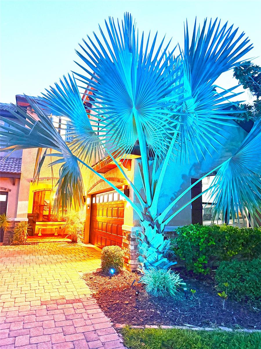 CORY LAKE ISLES PH 5 UN 1 - Residential