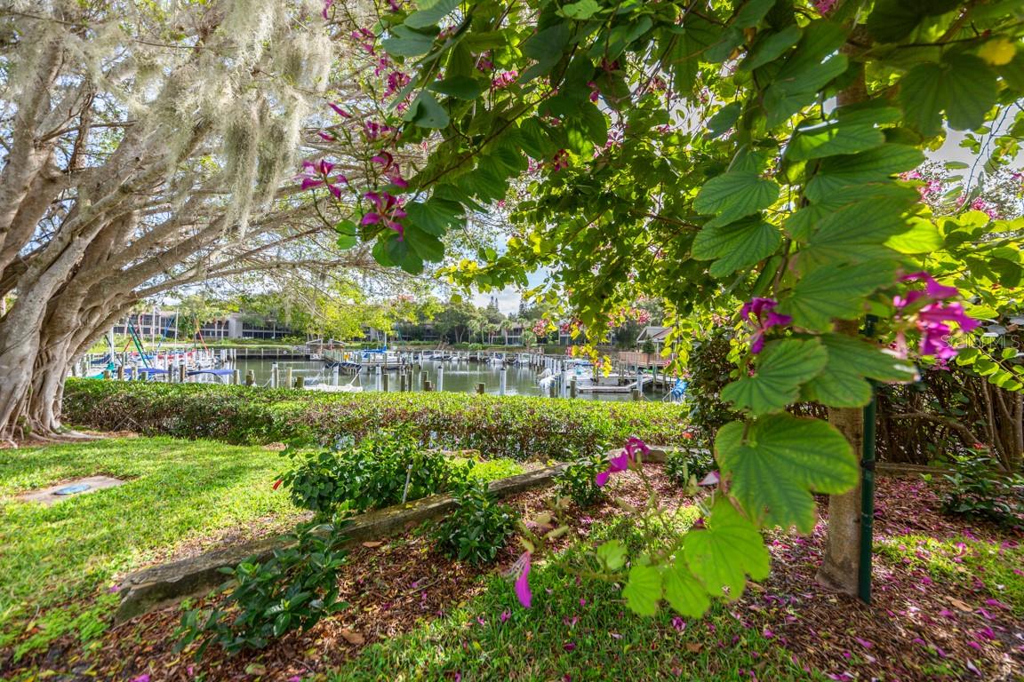 PELICAN COVE VII - Residential